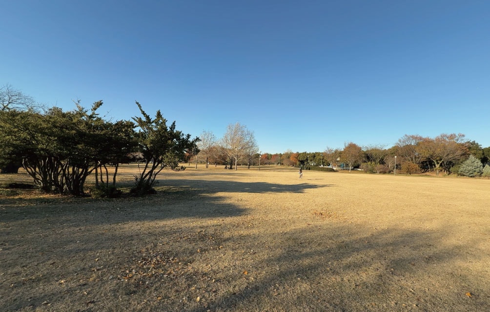 弁天ふれあいの森公園