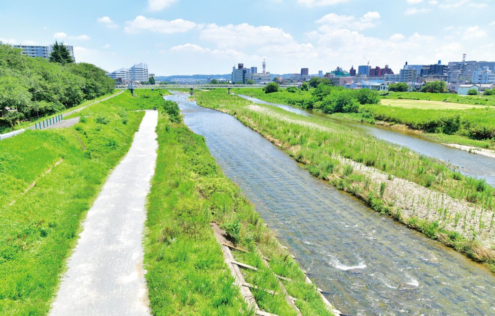 浅川（浅川大橋）