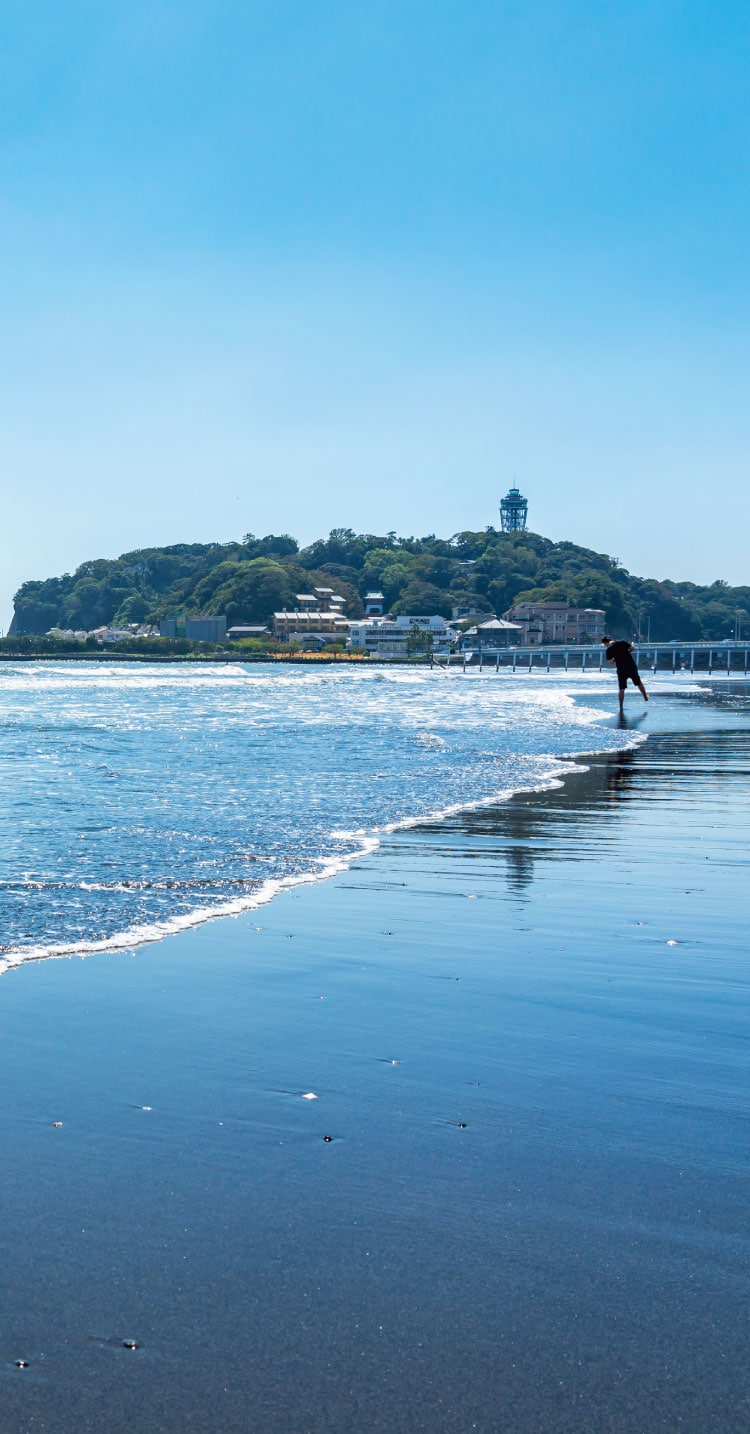 航空写真（2018年4月撮影）