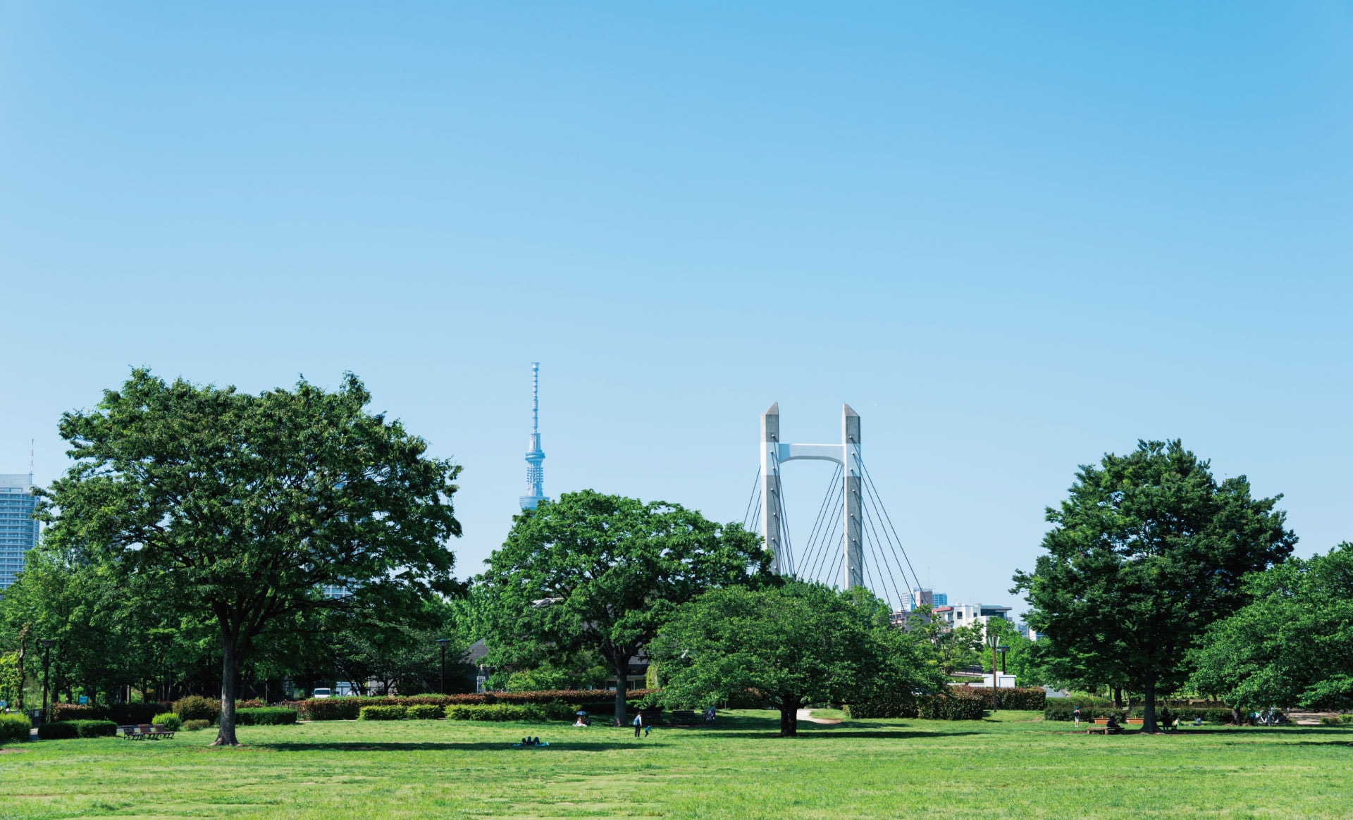 木場公園