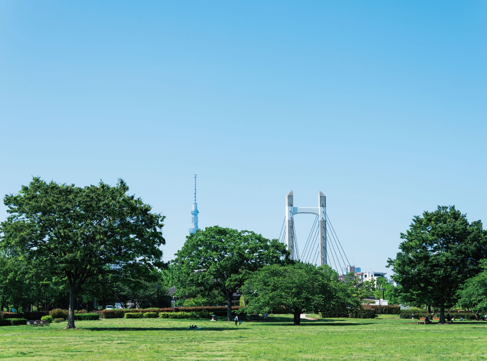 木場公園